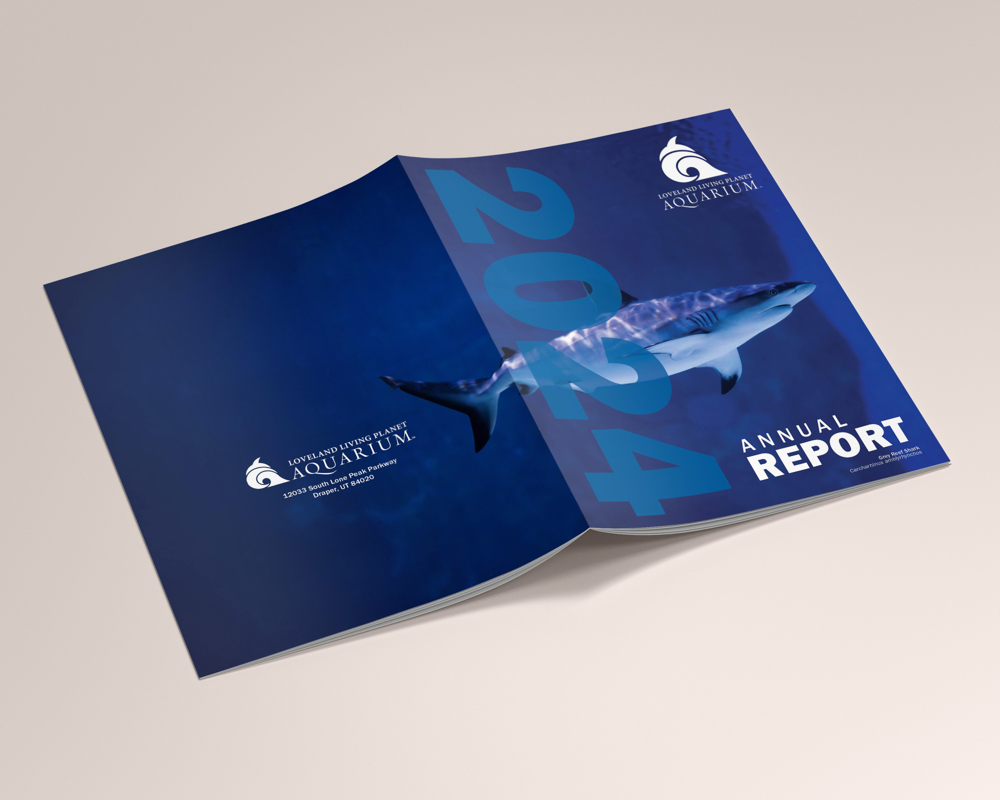Books & Brochures